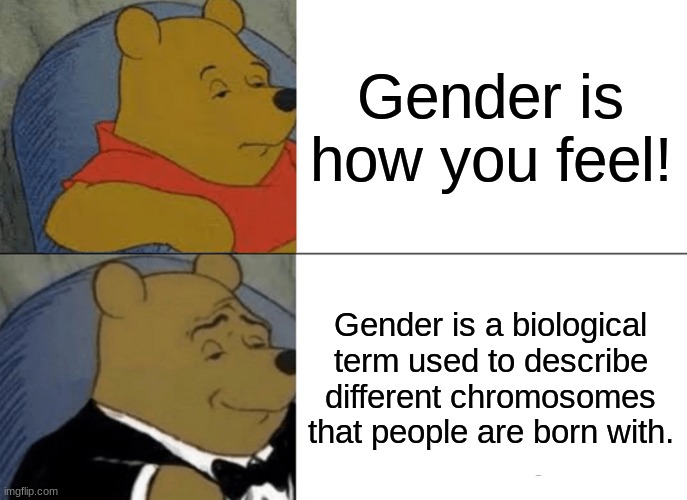 Tuxedo Winnie The Pooh Meme | Gender is how you feel! Gender is a biological term used to describe different chromosomes that people are born with. | image tagged in memes,tuxedo winnie the pooh,dark humor,genius,gay jokes,lgbtq | made w/ Imgflip meme maker