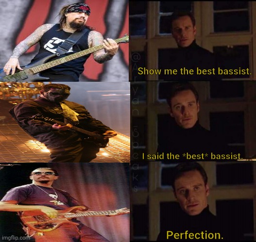 les claypool solos | Show me the best bassist. I said the *best* bassist. Perfection. | image tagged in show me the real | made w/ Imgflip meme maker