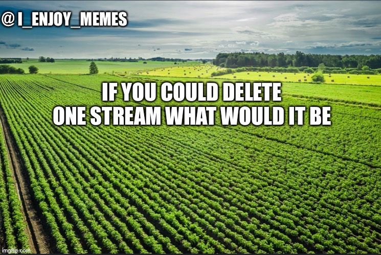 I_enjoy_memes_template | IF YOU COULD DELETE ONE STREAM WHAT WOULD IT BE | image tagged in i_enjoy_memes_template | made w/ Imgflip meme maker