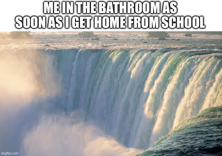 those restrooms nasty | ME IN THE BATHROOM AS SOON AS I GET HOME FROM SCHOOL | image tagged in memes,funny memes,funny,relatable,school meme | made w/ Imgflip meme maker