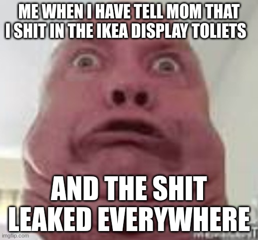 When you have to tell mom | ME WHEN I HAVE TELL MOM THAT I SHIT IN THE IKEA DISPLAY TOLIETS; AND THE SHIT LEAKED EVERYWHERE | image tagged in funny memes | made w/ Imgflip meme maker