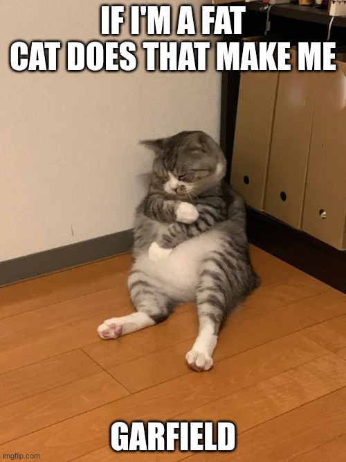 Fat cat | IF I'M A FAT CAT DOES THAT MAKE ME; GARFIELD | image tagged in fat cat,cats | made w/ Imgflip meme maker
