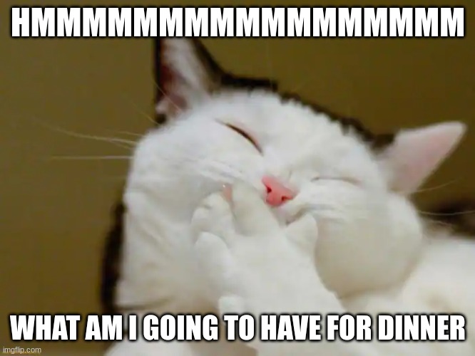 Dinner | HMMMMMMMMMMMMMMMMM; WHAT AM I GOING TO HAVE FOR DINNER | image tagged in cats,food | made w/ Imgflip meme maker