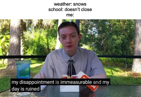 That’s Buisness 101 For You: Don’t Open School On Snow Days | weather: snows
school: doesn’t close
me: | image tagged in my day is ruined and my disappointment is immeasurable | made w/ Imgflip meme maker