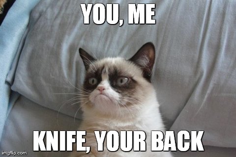 Grumpy Cat Bed | YOU, ME KNIFE, YOUR BACK | image tagged in memes,grumpy cat | made w/ Imgflip meme maker
