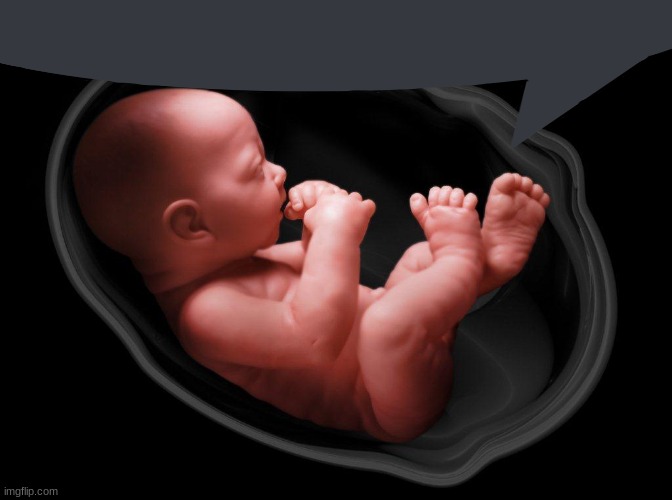Baby in Womb | image tagged in baby in womb | made w/ Imgflip meme maker