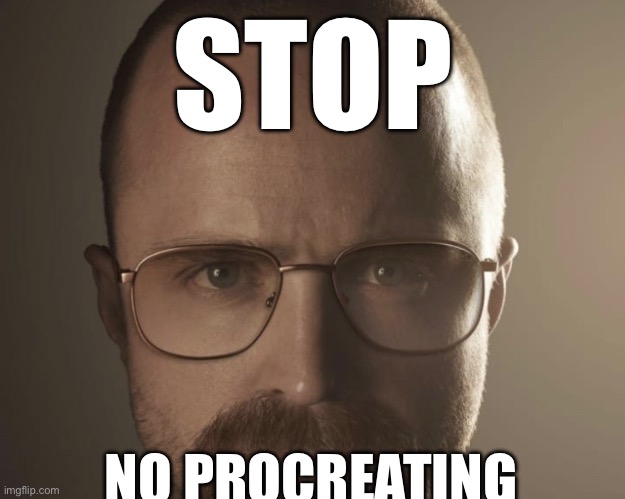 STOP; NO PROCREATING | made w/ Imgflip meme maker