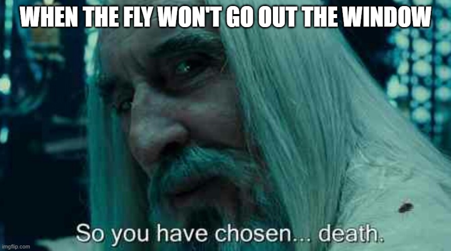 So you have chosen death | WHEN THE FLY WON'T GO OUT THE WINDOW | image tagged in so you have chosen death | made w/ Imgflip meme maker