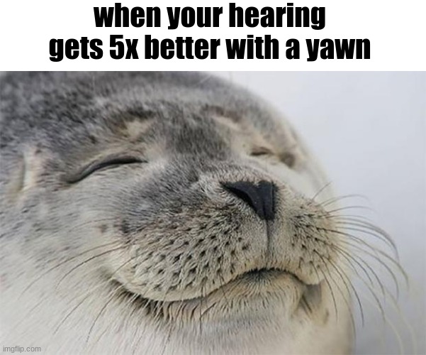 meme | when your hearing gets 5x better with a yawn | image tagged in memes,satisfied seal,funny | made w/ Imgflip meme maker