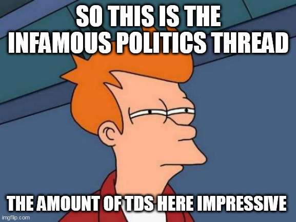 Futurama Fry Meme | SO THIS IS THE INFAMOUS POLITICS THREAD; THE AMOUNT OF TDS HERE IMPRESSIVE | image tagged in memes,futurama fry | made w/ Imgflip meme maker