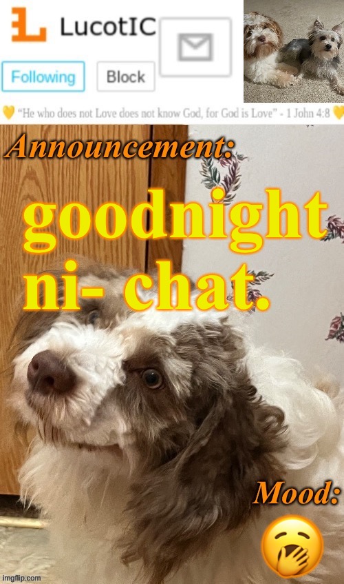 . | goodnight ni- chat. 🥱 | image tagged in lucotic s fangz announcement temp thanks strike | made w/ Imgflip meme maker