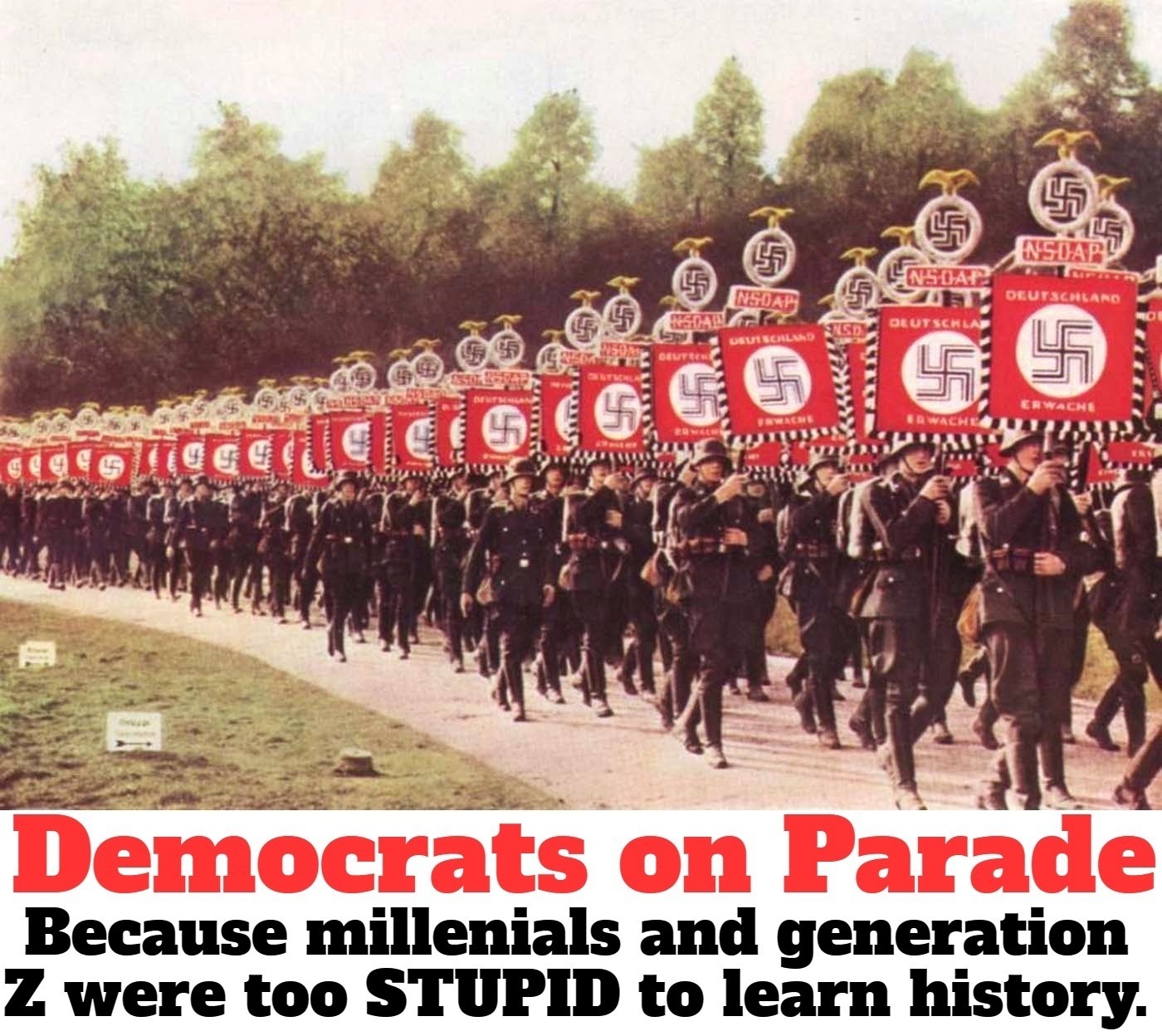 Democrats on Parade | image tagged in millennials,generation z,stupid liberals,history memes,history lesson,deep fried hell | made w/ Imgflip meme maker