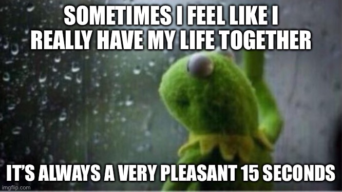Life together | SOMETIMES I FEEL LIKE I REALLY HAVE MY LIFE TOGETHER; IT’S ALWAYS A VERY PLEASANT 15 SECONDS | image tagged in kermit rain,life,together,it's all coming together,15,seconds | made w/ Imgflip meme maker