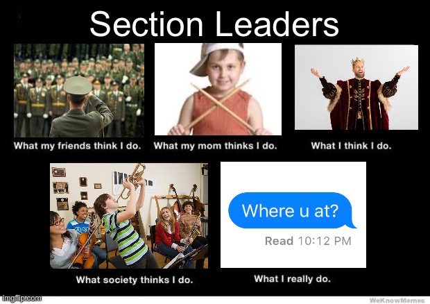 Section Leaders | Section Leaders | image tagged in what i really do | made w/ Imgflip meme maker
