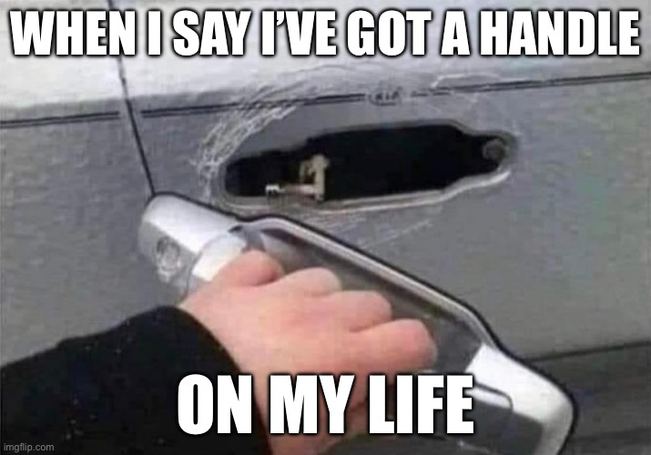 Handle on it | WHEN I SAY I’VE GOT A HANDLE; ON MY LIFE | image tagged in handle,life,my life | made w/ Imgflip meme maker