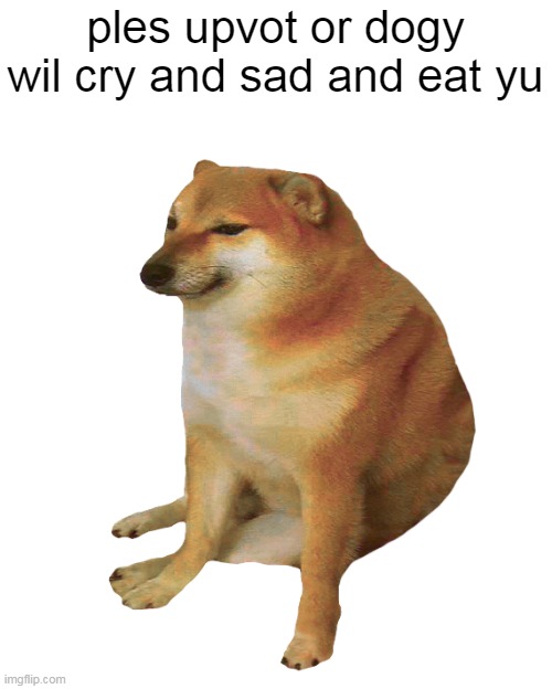 cheems | ples upvot or dogy wil cry and sad and eat yu | image tagged in cheems | made w/ Imgflip meme maker