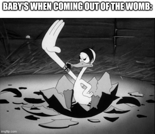 S!eg H3il! | BABY'S WHEN COMING OUT OF THE WOMB: | image tagged in hitler duck,memes | made w/ Imgflip meme maker