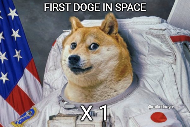 Doge coin to the fkn moon | FIRST DOGE IN SPACE; X 1; @mikedsayre | image tagged in cryptos ready for lift off | made w/ Imgflip meme maker