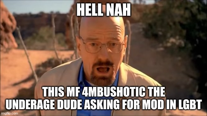 msmg's top enemy: underage and gay | HELL NAH; THIS MF 4MBUSHOTIC THE UNDERAGE DUDE ASKING FOR MOD IN LGBT | image tagged in breaking bad waltuh | made w/ Imgflip meme maker
