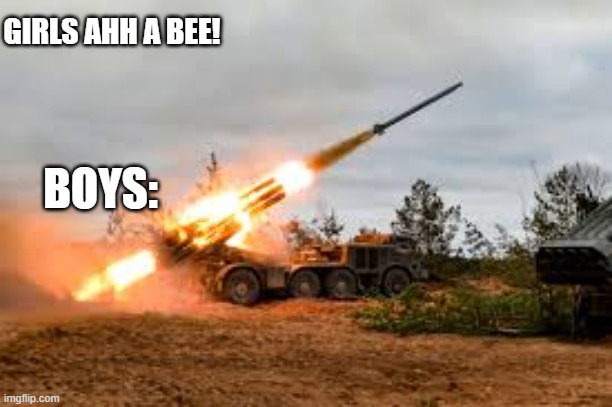 Boys VS Girls Part 2 | BOYS:; GIRLS AHH A BEE! | image tagged in missile artillery,bees | made w/ Imgflip meme maker