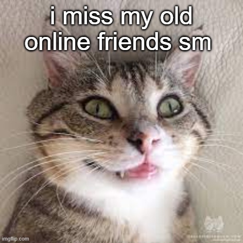they were such cool bitches :(( | i miss my old online friends sm | image tagged in online,friends,sad,sad but true | made w/ Imgflip meme maker