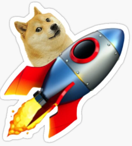 High Quality doge to the moon bitches Blank Meme Template