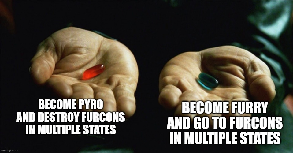 what r u? | BECOME PYRO AND DESTROY FURCONS IN MULTIPLE STATES; BECOME FURRY AND GO TO FURCONS IN MULTIPLE STATES | image tagged in red pill blue pill | made w/ Imgflip meme maker