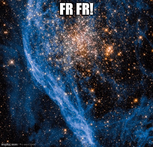 FR FR! | made w/ Imgflip meme maker