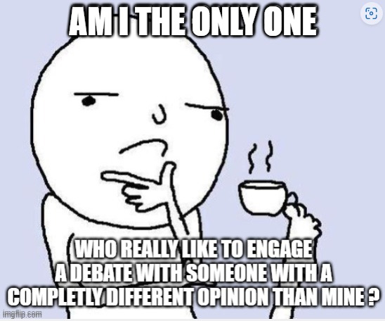 I think it is. | AM I THE ONLY ONE | image tagged in funny,opinion | made w/ Imgflip meme maker