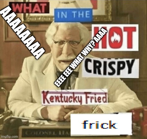 what in the hot crispy kentucky fried frick | AAAAAAAA; EEEE EEE WHAT WHY? AAAA | image tagged in what in the hot crispy kentucky fried frick | made w/ Imgflip meme maker