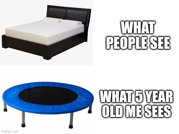 True meme | WHAT PEOPLE SEE; WHAT 5 YEAR OLD ME SEES | image tagged in no tags | made w/ Imgflip meme maker