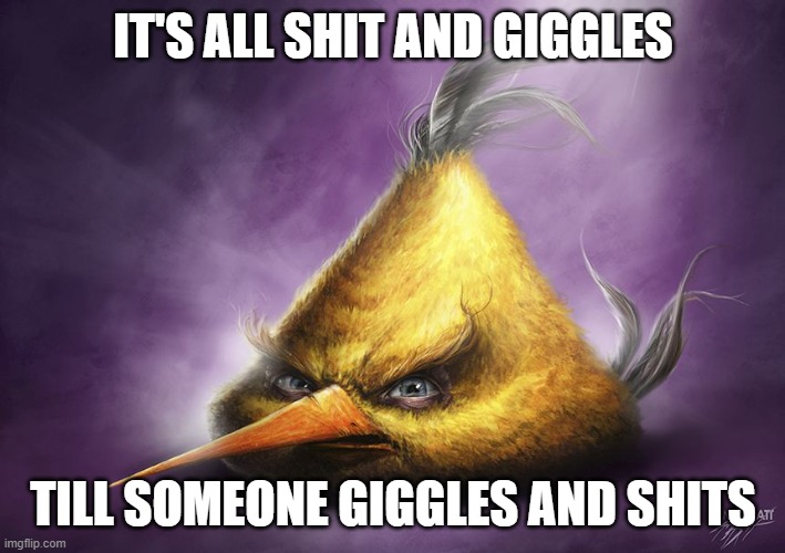 Realistic yellow angry bird | IT'S ALL SHIT AND GIGGLES TILL SOMEONE GIGGLES AND SHITS | image tagged in realistic yellow angry bird | made w/ Imgflip meme maker