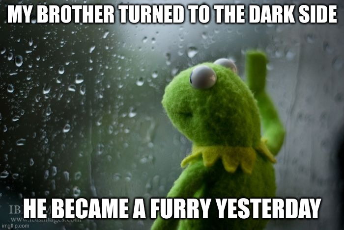 kermit window | MY BROTHER TURNED TO THE DARK SIDE; HE BECAME A FURRY YESTERDAY | image tagged in kermit window | made w/ Imgflip meme maker