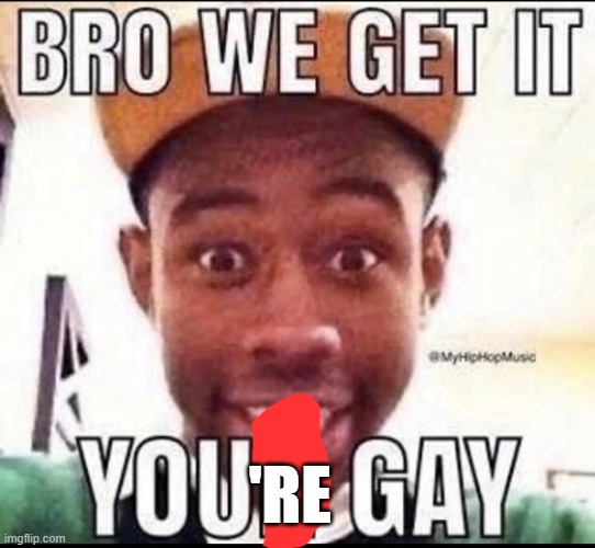 BRO WE GET IT YOU'RE GAY | 'RE | image tagged in bro we get it you're gay | made w/ Imgflip meme maker