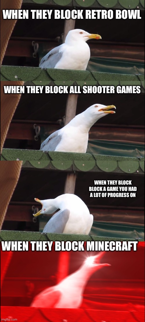 Inhaling Seagull | WHEN THEY BLOCK RETRO BOWL; WHEN THEY BLOCK ALL SHOOTER GAMES; WHEN THEY BLOCK BLOCK A GAME YOU HAD A LOT OF PROGRESS ON; WHEN THEY BLOCK MINECRAFT | image tagged in memes,inhaling seagull | made w/ Imgflip meme maker
