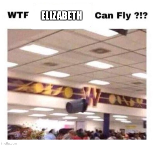 WTF --------- Can Fly ?!? | ELIZABETH | image tagged in wtf --------- can fly | made w/ Imgflip meme maker