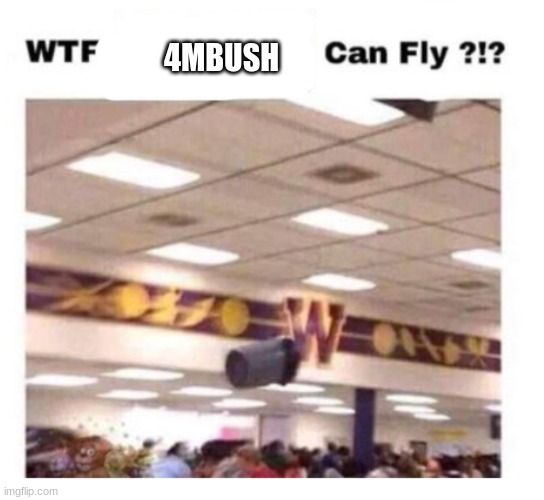 WTF --------- Can Fly ?!? | 4MBUSH | image tagged in wtf --------- can fly | made w/ Imgflip meme maker