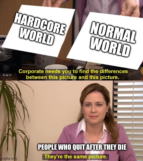 Minecraft | HARDCORE WORLD; NORMAL WORLD; PEOPLE WHO QUIT AFTER THEY DIE | image tagged in they are the same picture | made w/ Imgflip meme maker