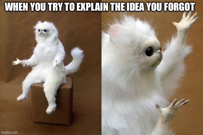 :/ | WHEN YOU TRY TO EXPLAIN THE IDEA YOU FORGOT | image tagged in memes,persian cat room guardian | made w/ Imgflip meme maker
