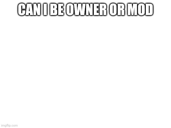 (No, you may not. -CallingCard) | CAN I BE OWNER OR MOD | made w/ Imgflip meme maker