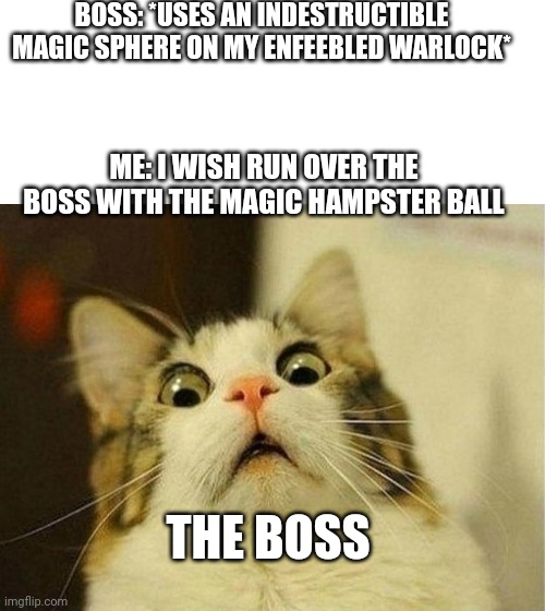 Mistakes were made | BOSS: *USES AN INDESTRUCTIBLE MAGIC SPHERE ON MY ENFEEBLED WARLOCK*; ME: I WISH RUN OVER THE BOSS WITH THE MAGIC HAMPSTER BALL; THE BOSS | image tagged in memes,scared cat | made w/ Imgflip meme maker
