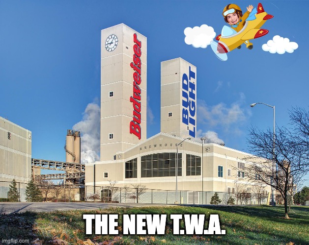 THE NEW T.W.A. | image tagged in bud light,trans,trans world airlines | made w/ Imgflip meme maker