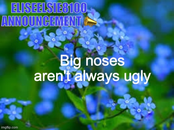 EliseElsie8100 Announcement | Big noses aren't always ugly | image tagged in eliseelsie8100 announcement | made w/ Imgflip meme maker