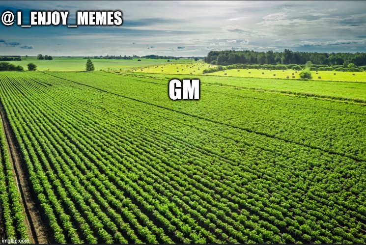 I_enjoy_memes_template | GM | image tagged in i_enjoy_memes_template | made w/ Imgflip meme maker