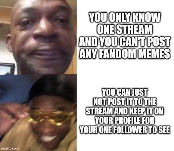 Even though they maybe followed you by accident | YOU ONLY KNOW ONE STREAM AND YOU CAN'T POST ANY FANDOM MEMES; YOU CAN JUST NOT POST IT TO THE STREAM AND KEEP IT ON YOUR PROFILE FOR YOUR ONE FOLLOWER TO SEE | image tagged in black guy crying and black guy laughing | made w/ Imgflip meme maker