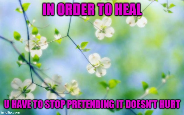 flowers | IN ORDER TO HEAL; U HAVE TO STOP PRETENDING IT DOESN'T HURT | image tagged in flowers | made w/ Imgflip meme maker