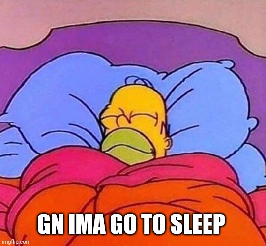 Homer Simpson sleeping peacefully | GN IMA GO TO SLEEP | image tagged in homer simpson sleeping peacefully | made w/ Imgflip meme maker