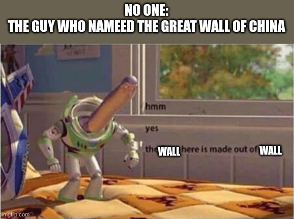wall | NO ONE:
THE GUY WHO NAMEED THE GREAT WALL OF CHINA; WALL; WALL | image tagged in hmm yes the floor here is made out of floor | made w/ Imgflip meme maker