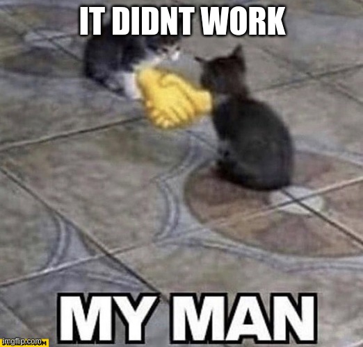 Cats shaking hands | IT DIDNT WORK | image tagged in cats shaking hands | made w/ Imgflip meme maker