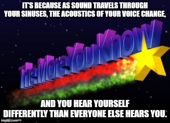 Have you ever watched a video of yourself talking and thought you sounded weird | IT'S BECAUSE AS SOUND TRAVELS THROUGH YOUR SINUSES, THE ACOUSTICS OF YOUR VOICE CHANGE, AND YOU HEAR YOURSELF DIFFERENTLY THAN EVERYONE ELSE HEARS YOU. | image tagged in the more you know | made w/ Imgflip meme maker